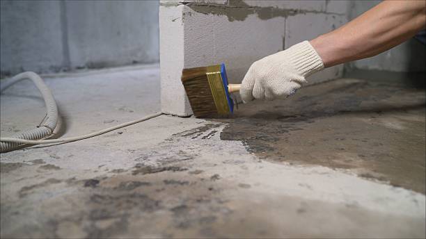 SJ Waterproofing Pros Waterproofing coverage map for Butler, IN and surrounding area
